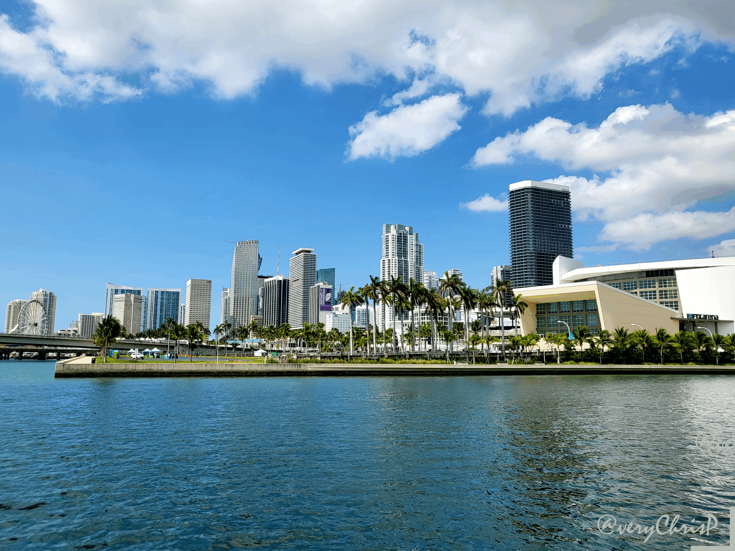 Downtown Miami Skyline